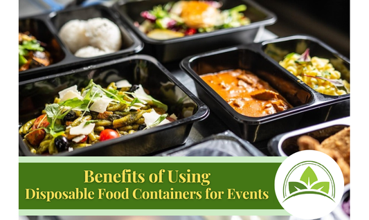 Benefits of Using Disposable Food Containers for Events