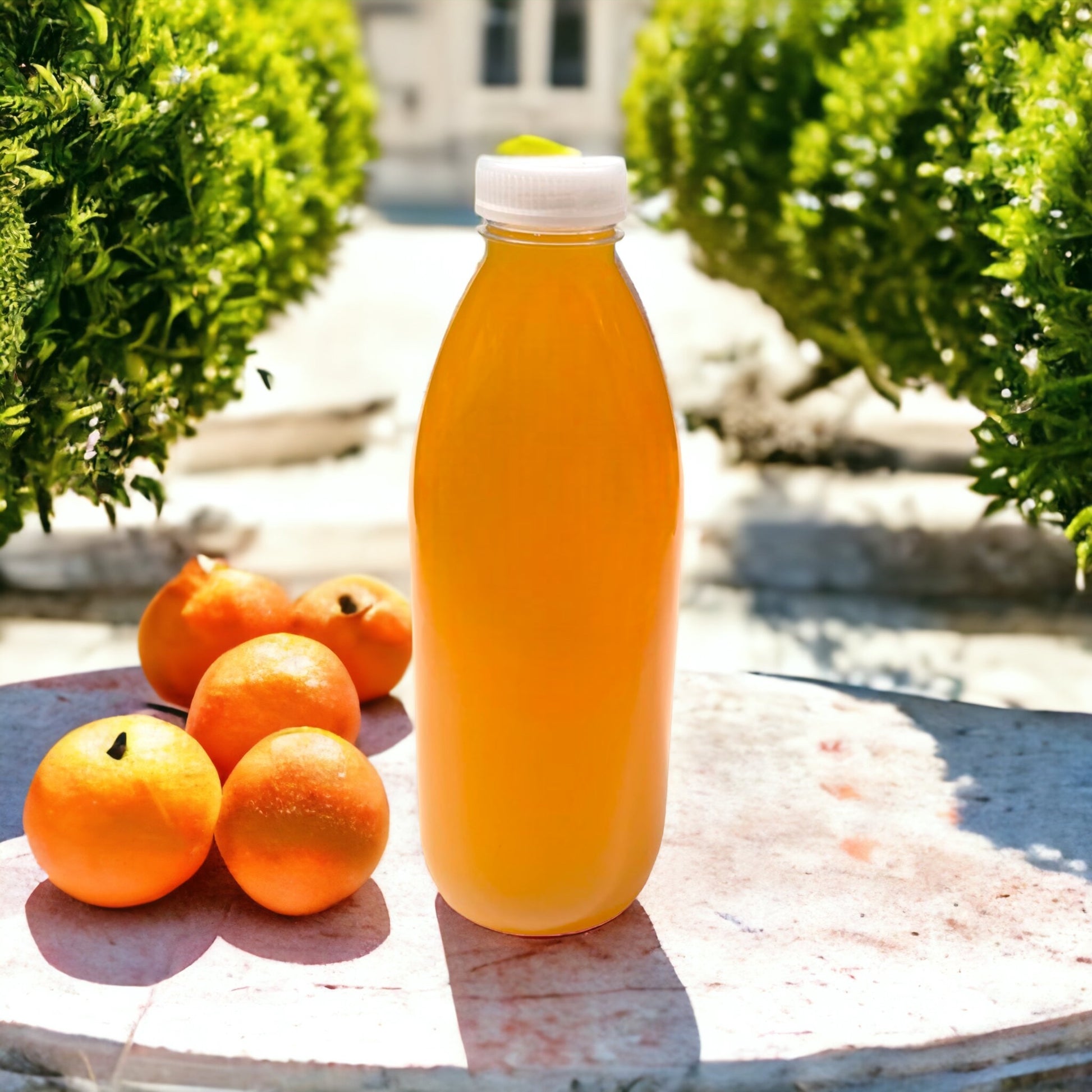 1000ml Clear Plastic Bottles & Caps