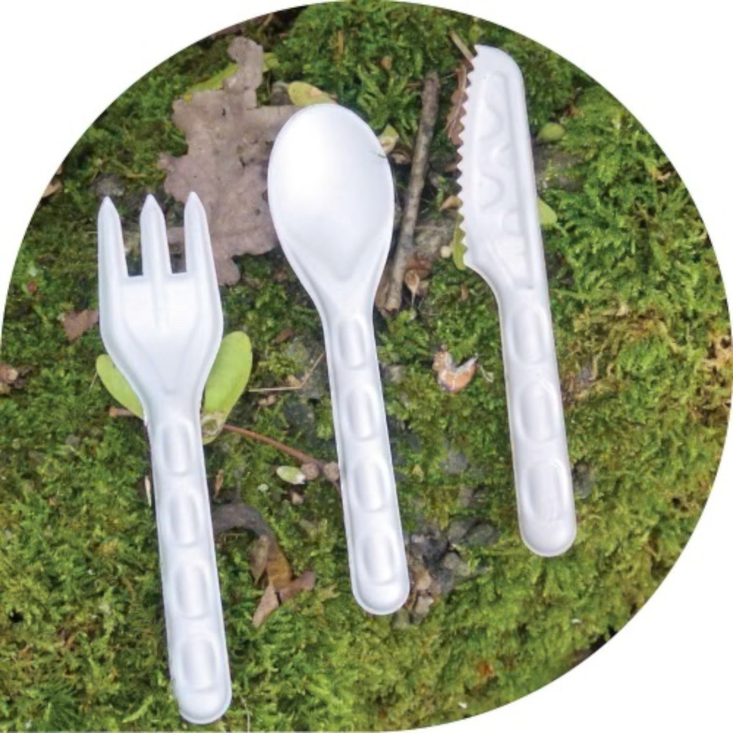 Compostable Sugarcane Spoon