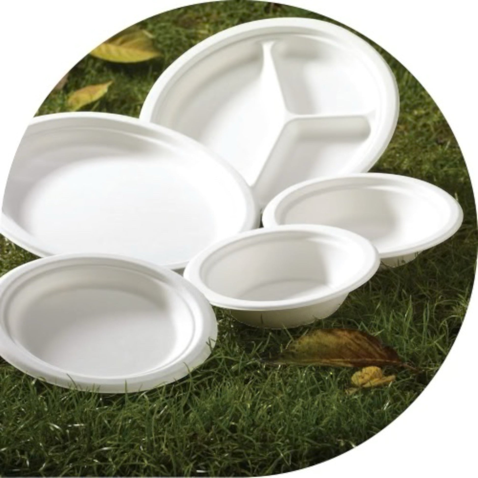 9" Bagasse Round Plates
