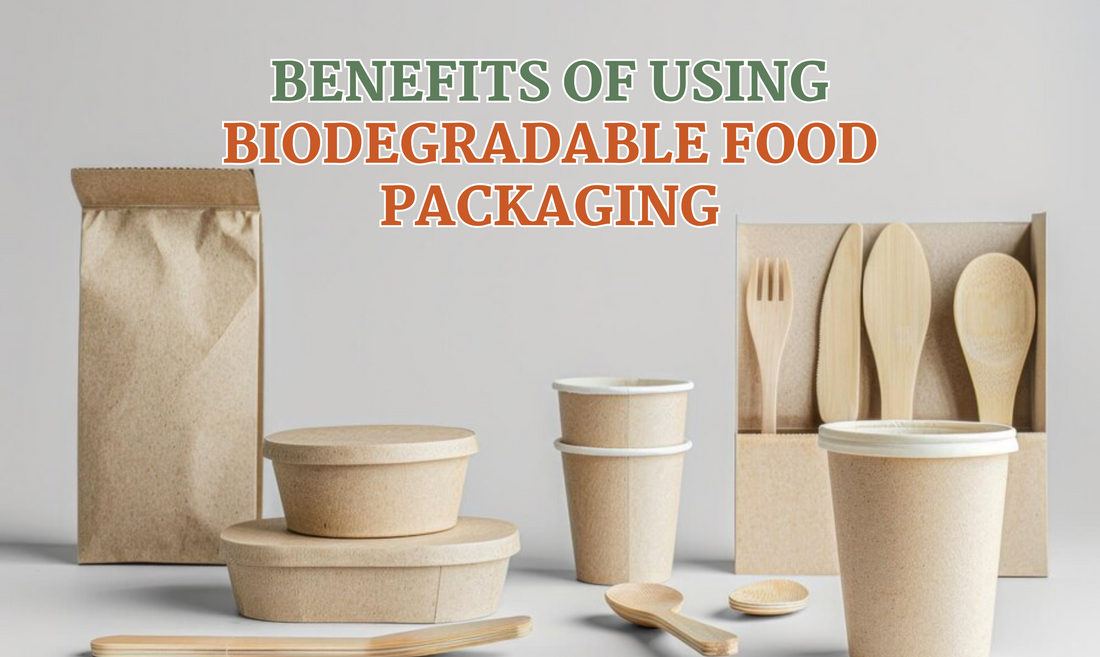 Benefits of Using Biodegradable Food Packaging