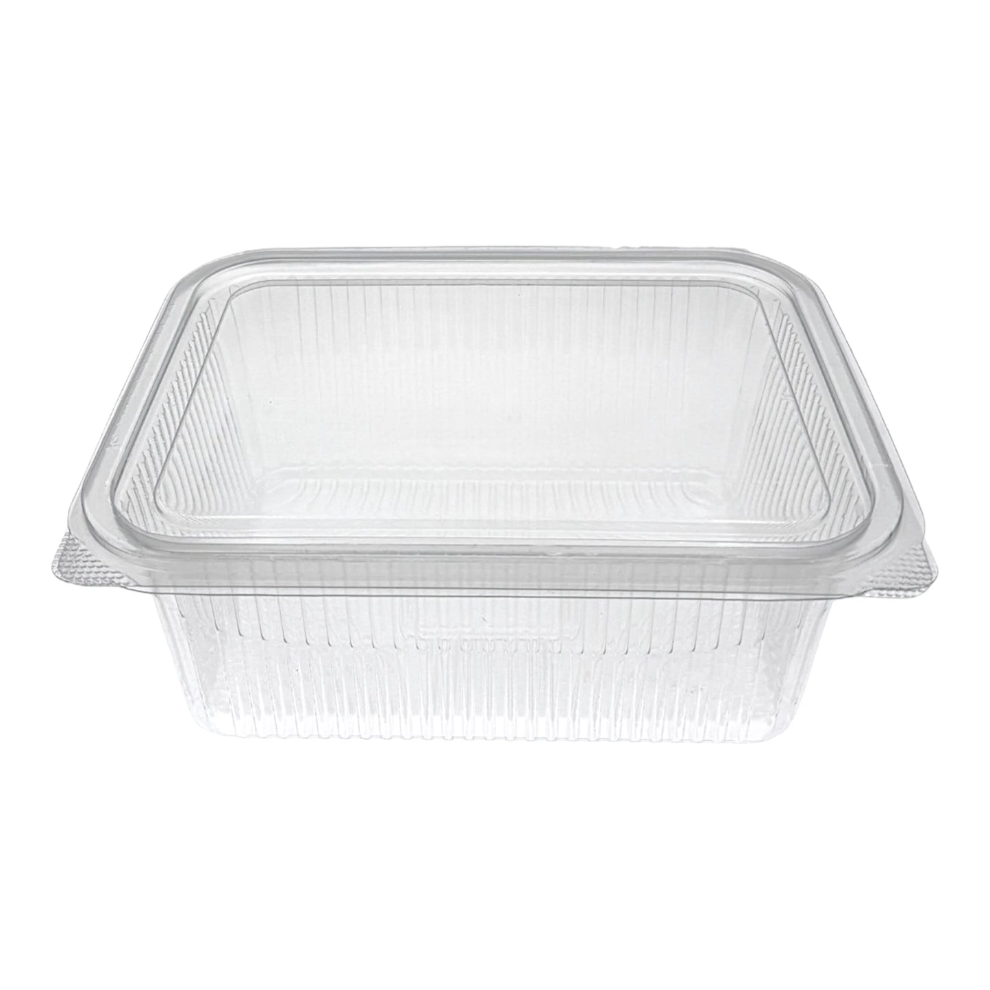 Rhino Rectangular Clear Hinged Container (2 Sizes)