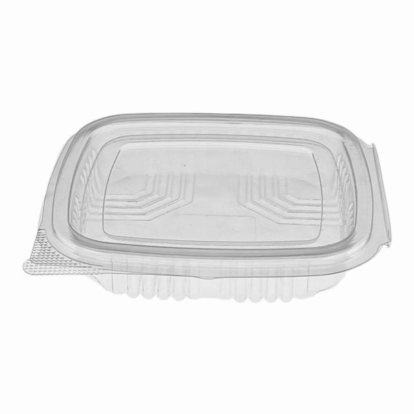 Clear Hinged Plastic Container (8 sizes)