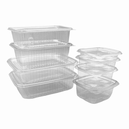 Clear Hinged Plastic Container (8 sizes)