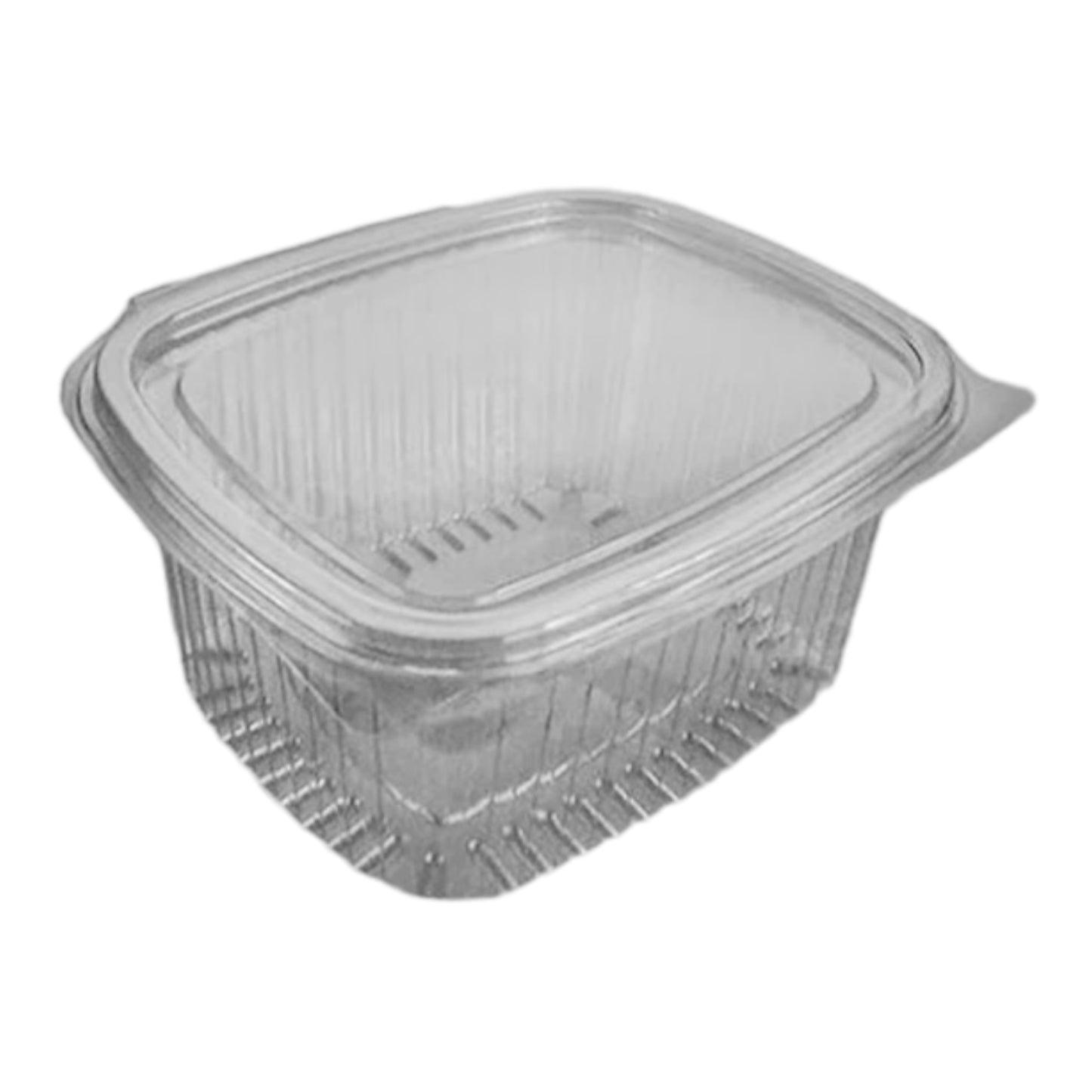 Somoplast Rectangular Hinged Container(10 Sizes)