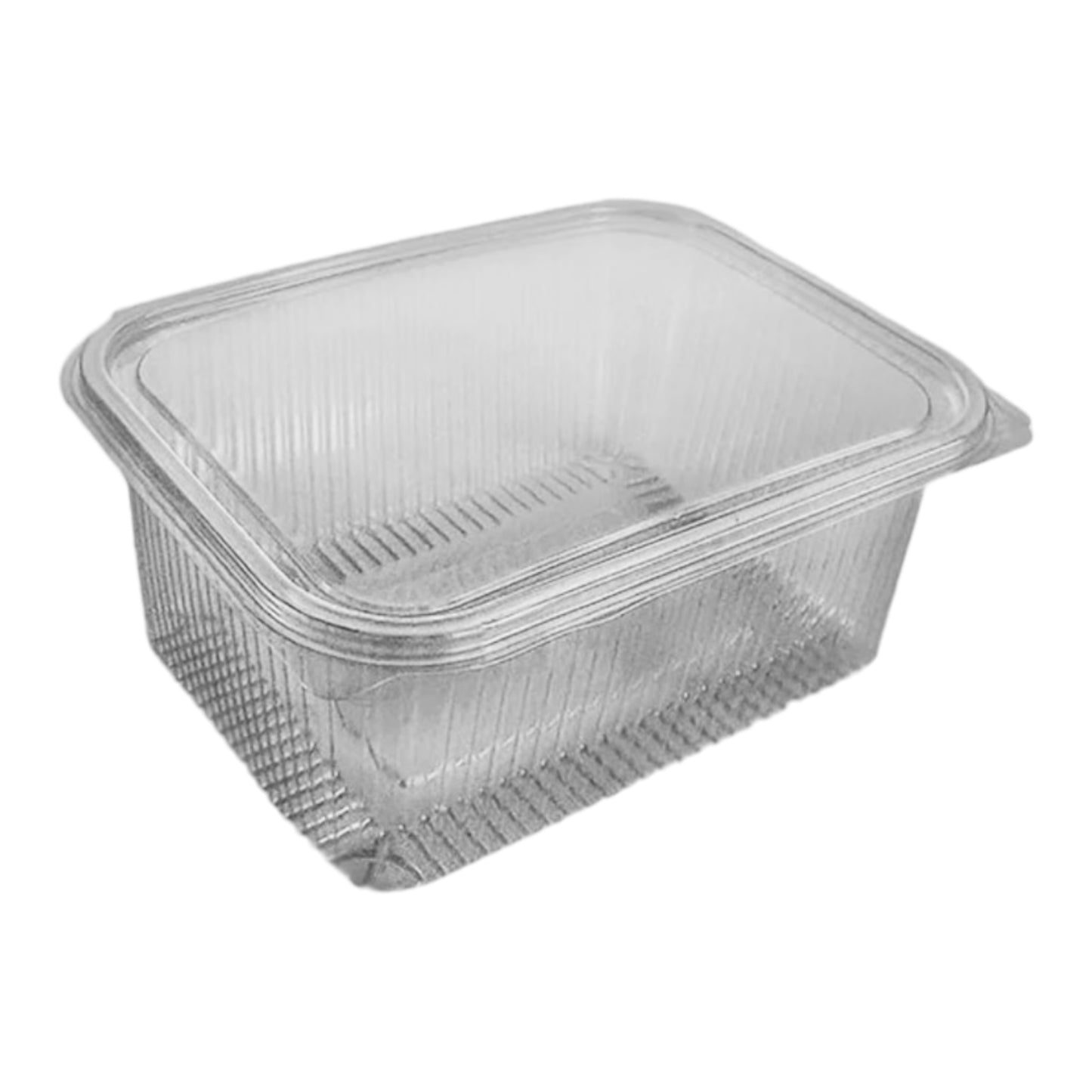 Rectangular Hinged Plastic Container