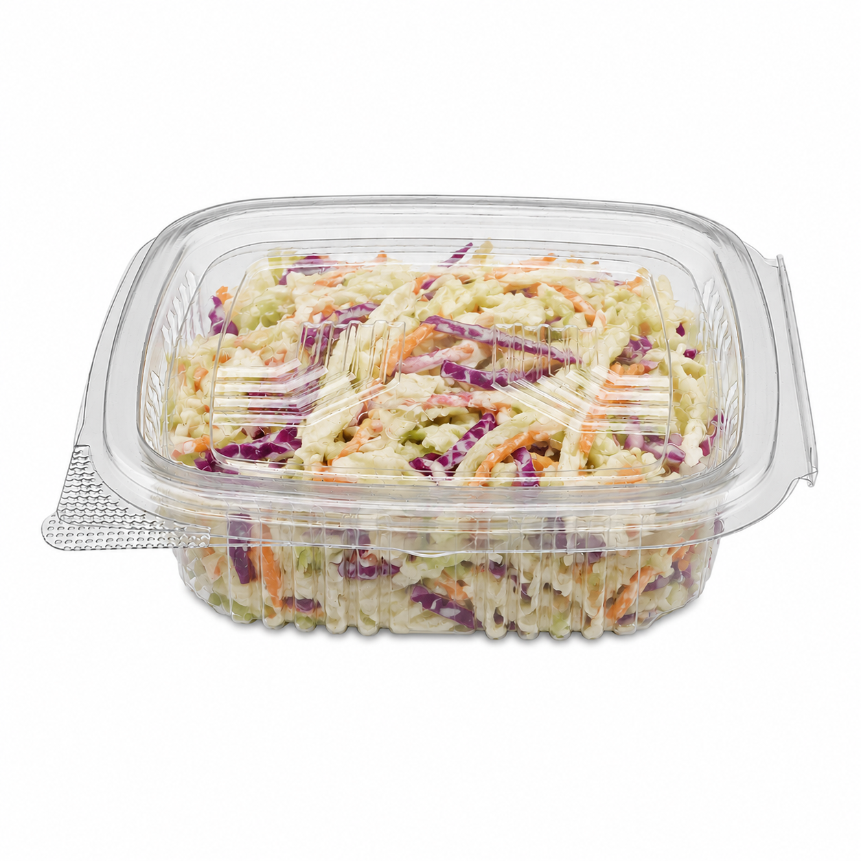 Clear Hinged Plastic Container (8 sizes)