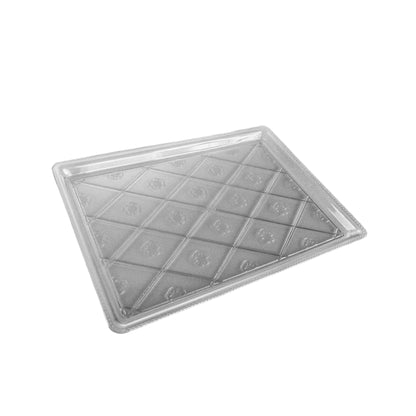 Clear Plastic Rectangle Tray