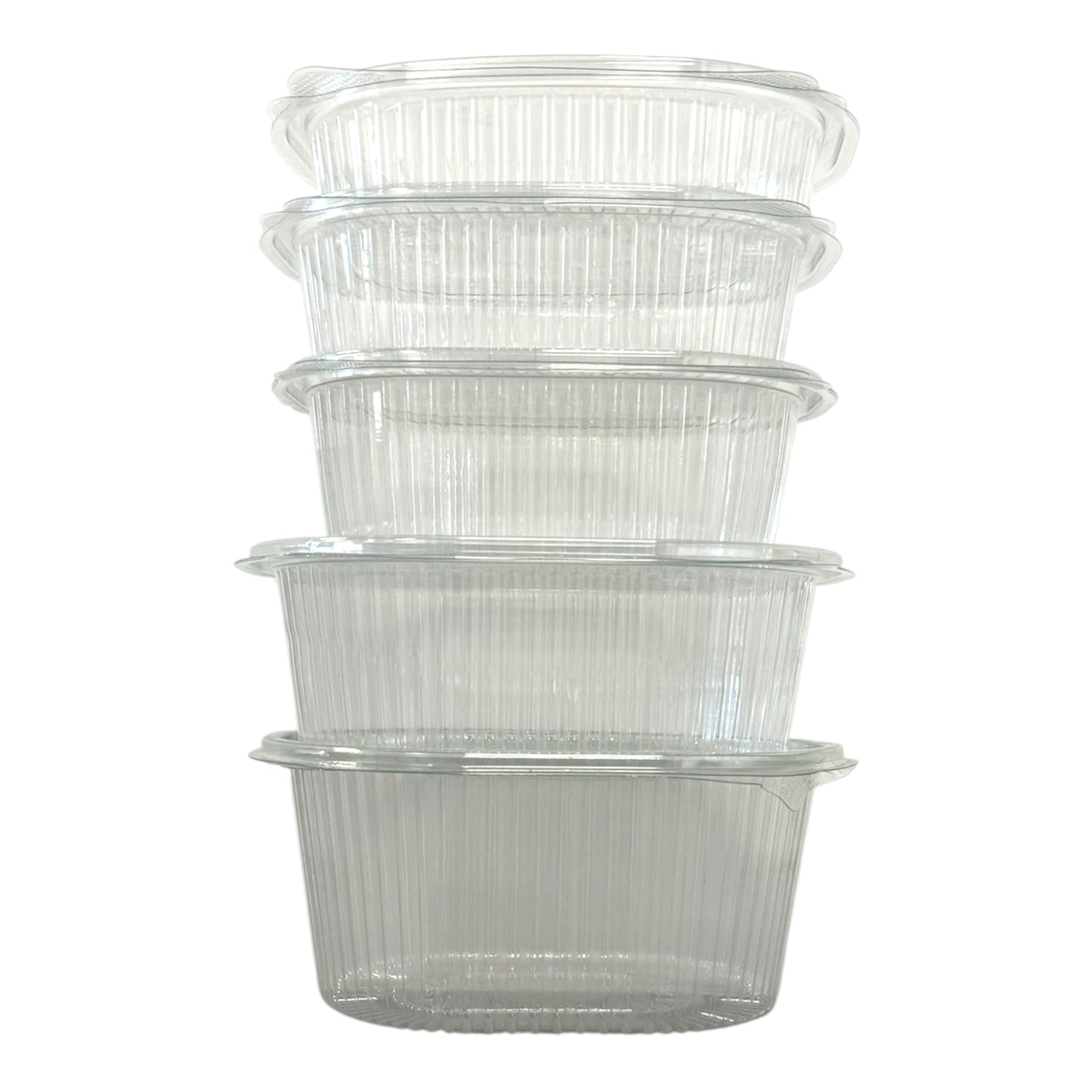 Rhino Clear Hinged Container (5 Sizes)