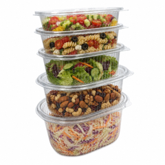 Rhino Clear Hinged Container (5 Sizes)