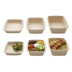 Sabert Rectangular Pulp Container (3 Sizes)