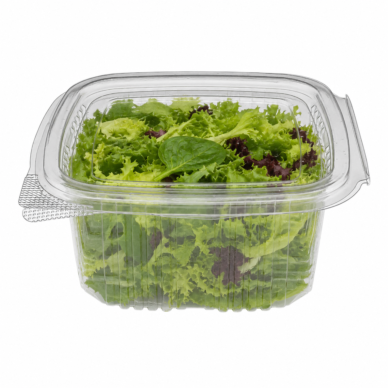 Clear Hinged Plastic Container (8 sizes)