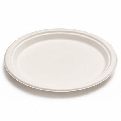 Food Packaging Direct 10-inch round compostable plate made from eco-friendly sugarcane fibre on a white background