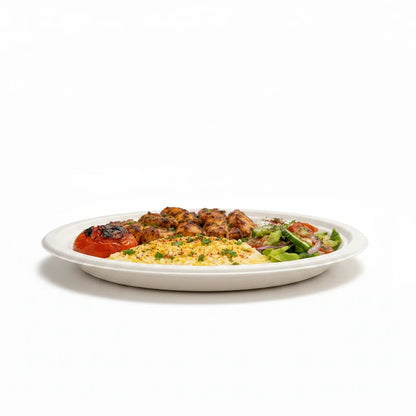 Food Packaging Direct 10-inch round compostable bagasse plate served with grilled chicken, rice, and salad.
