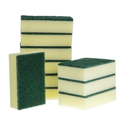 Large Sponge Scourers